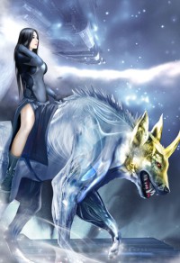 1V1，：炮友的自我修养