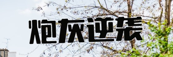 炮灰逆袭&好看的三十九本精彩作品